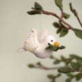 Colombe