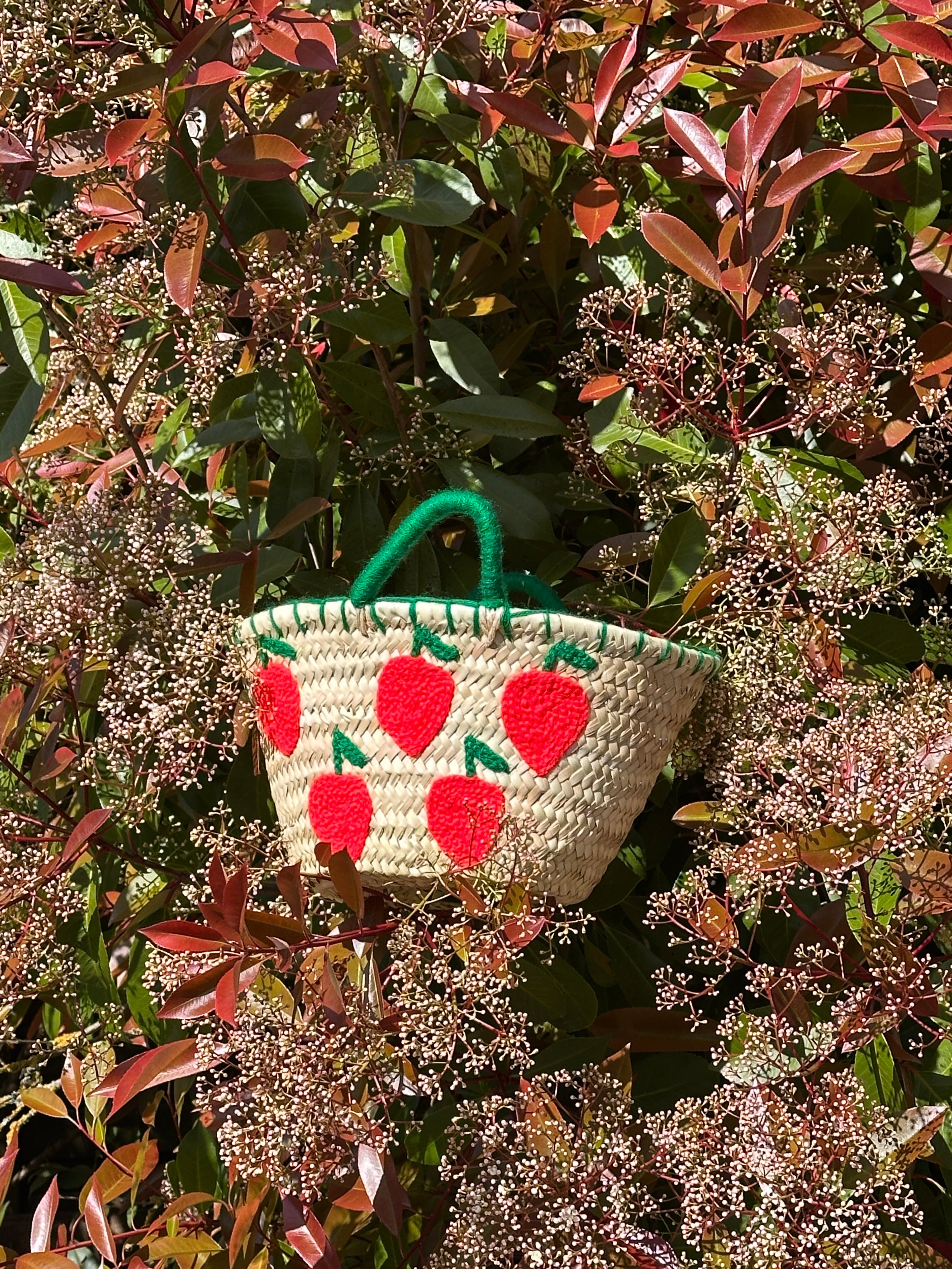 Panier fruit S